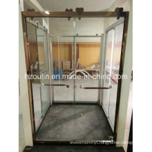 Shower Glass Door with Big Stainless Steel Roller (SD-502)